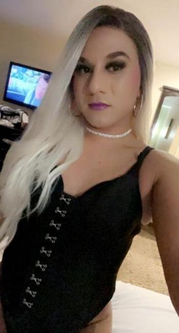 6572455746, transgender escort, Orange County